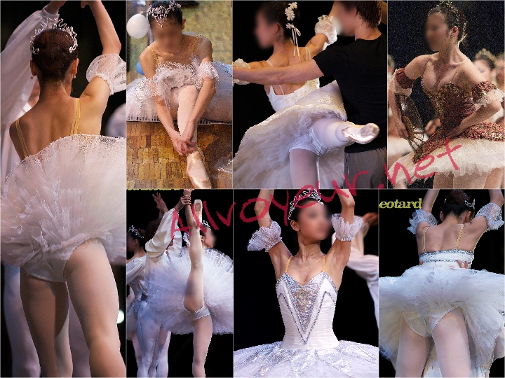 Ballet04 バレエ４【Premium品】